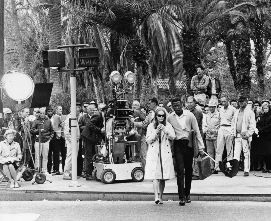 Sidney Poitier 1965 A Patch of Blue with Elizabeth Hartman.jpg